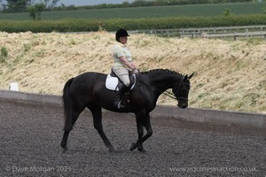 ISIS Dressage Challenge 2008